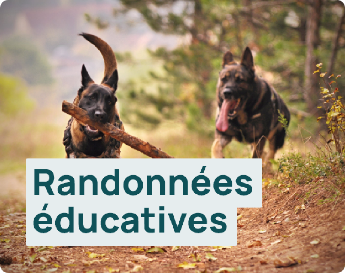Randonnées éducatives