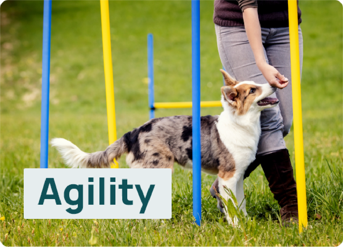 Agility