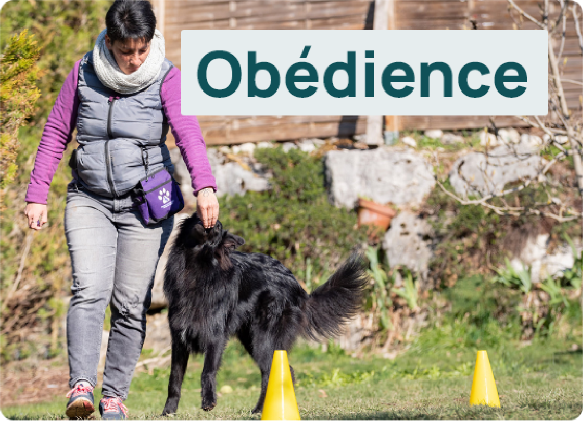 Obédience