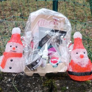 🎄 Box de Noël pour chats 🎁