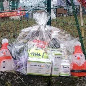 đ Box de NoĂ«l pour chien senior đ