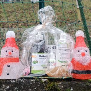 đ Box de NoĂ«l Anibio đ