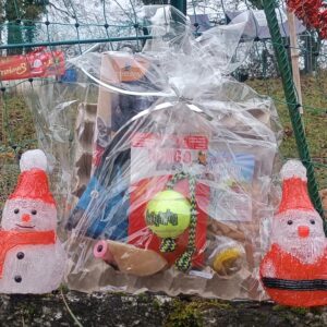 đ Box de NoĂ«l pour chien đ