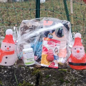 đ Box de NoĂ«l pour petit chien