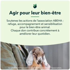 Don à l’association ABEHA