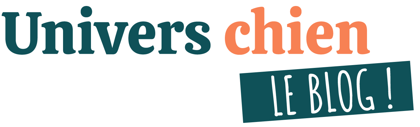 Univers chien, le blog